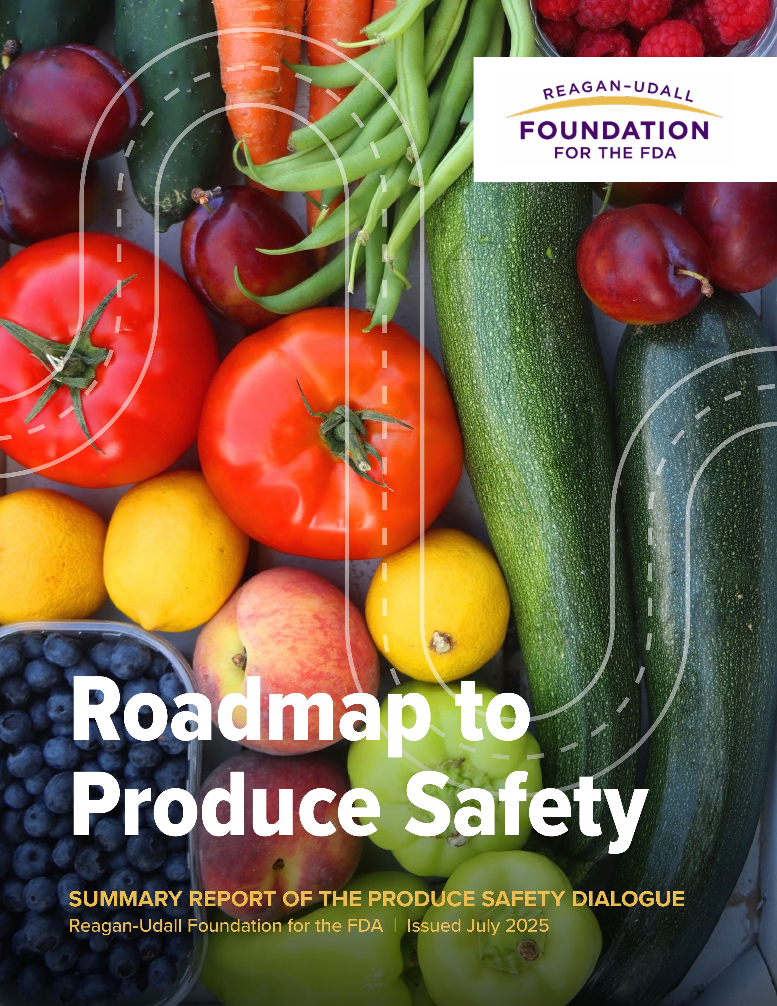 Roadmap to Produce Safety Cover