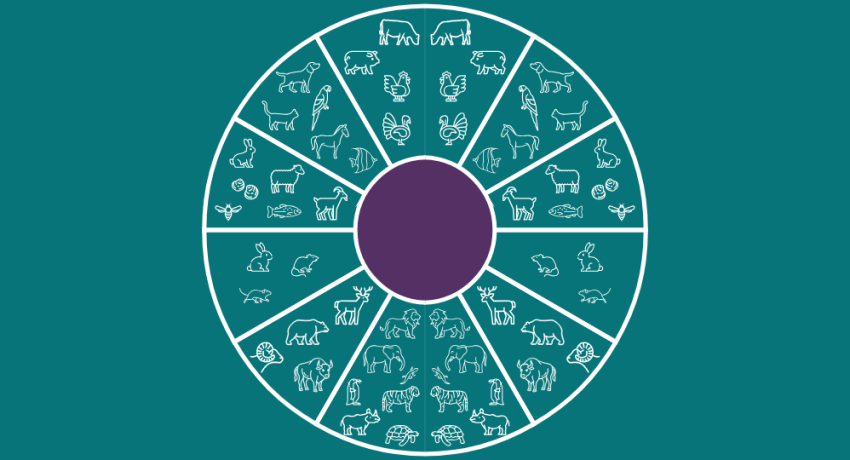Animal Health