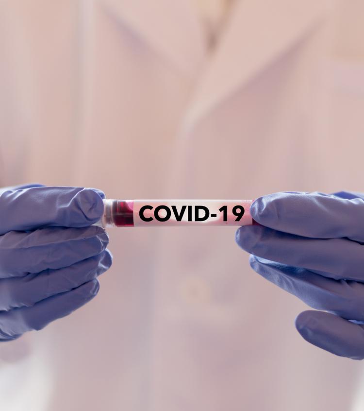 Evidence Accelerator